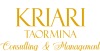consulting_web_oro